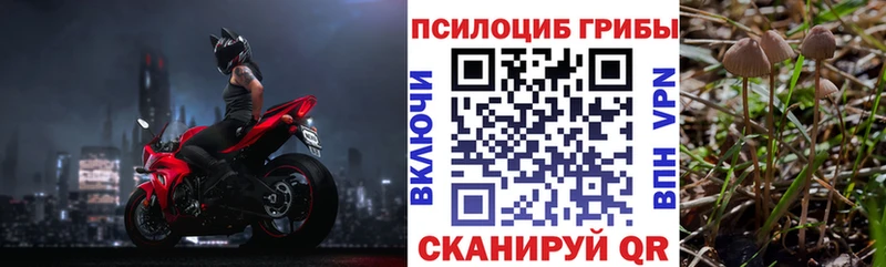 Галлюциногенные грибы Psilocybine cubensis blacksprut tor Сортавала